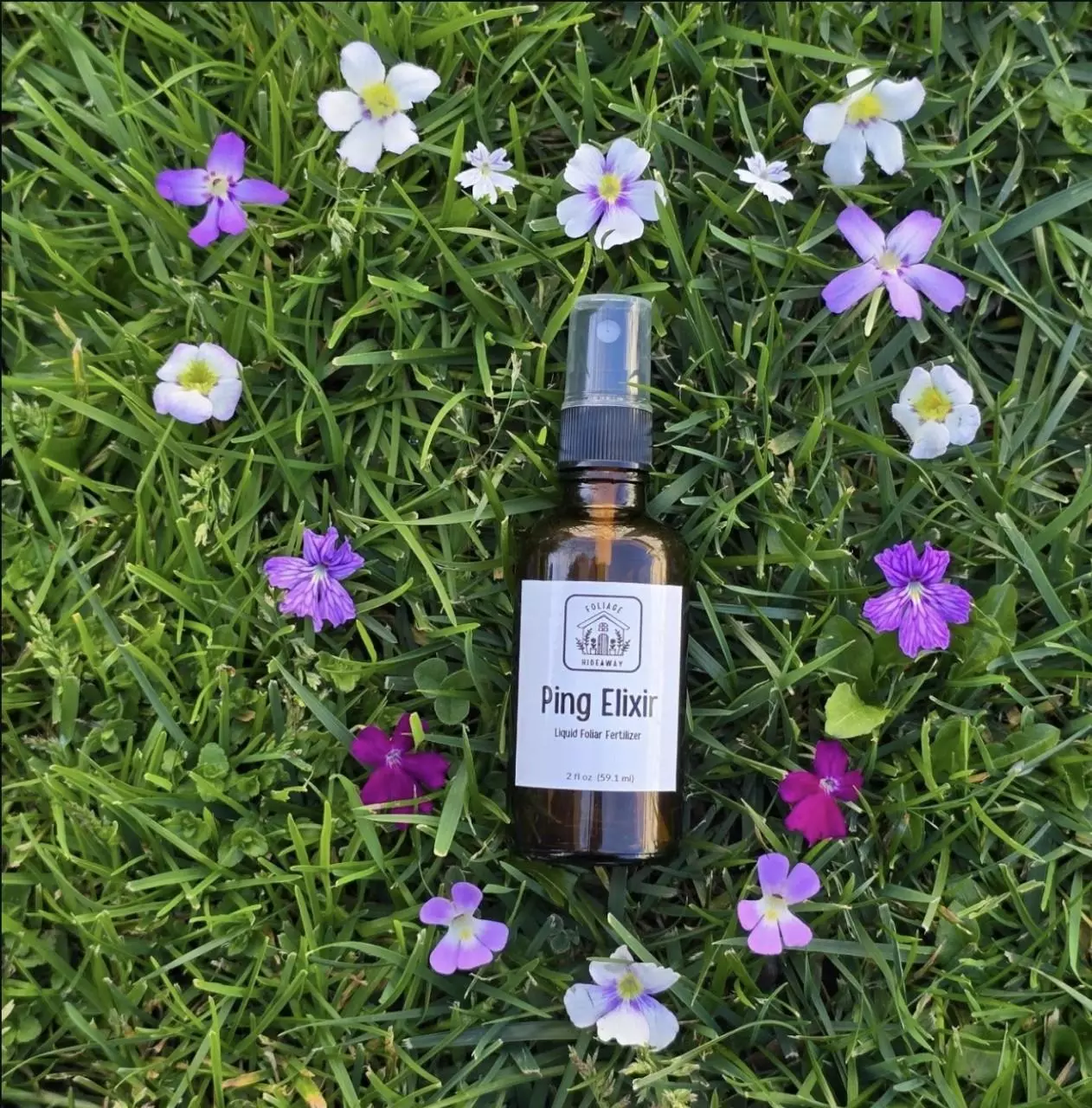 plant/Ping Elixir by Foliage Hideaway-1