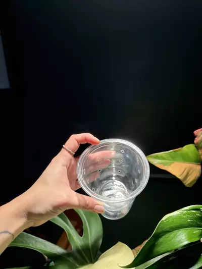 plant/4 inch self-watering pot-1-thumbnail