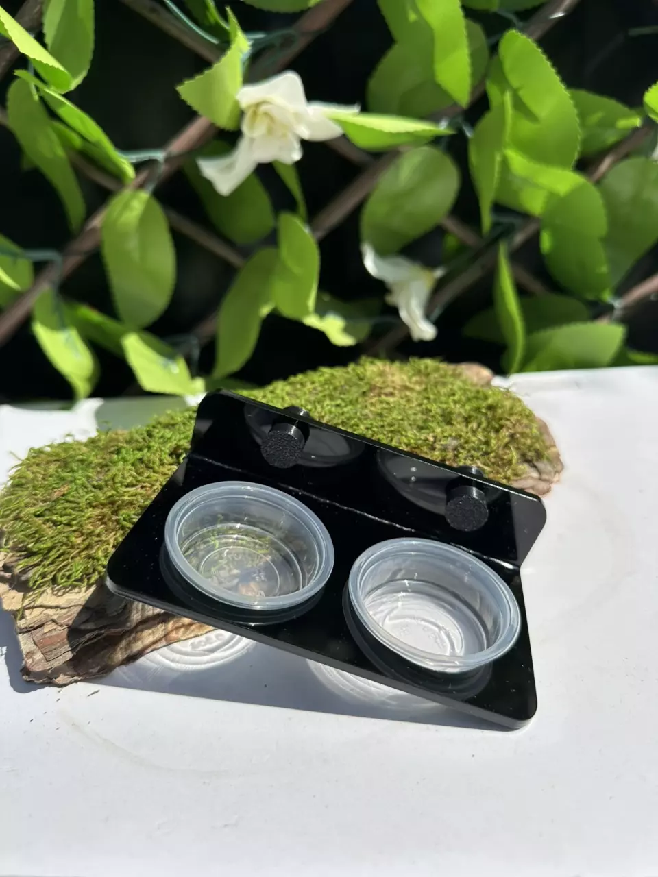 plant/Black Magnetic Feeding Ledge-0