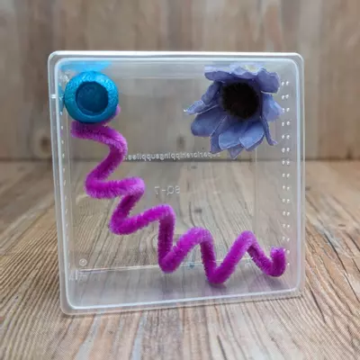 plant/Silkworm Cocoon Hides – Magnetic (5 Pack)-3-thumbnail