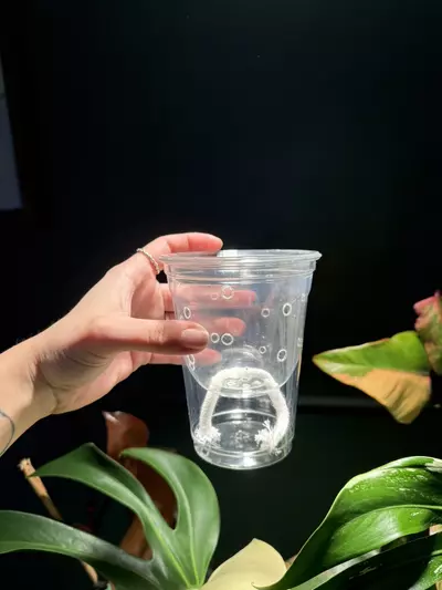 plant/4 inch self-watering pot-0-thumbnail