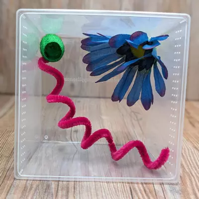 plant/Silkworm Cocoon Hide – Magnetic (1 Pack)-2-thumbnail