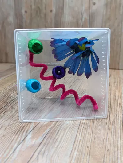 plant/Silkworm Cocoon Hides – Magnetic (5 Pack)-4-thumbnail