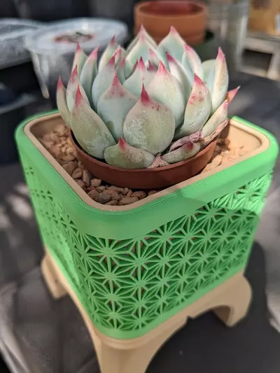 plant/3" square pot geometric-0-thumbnail