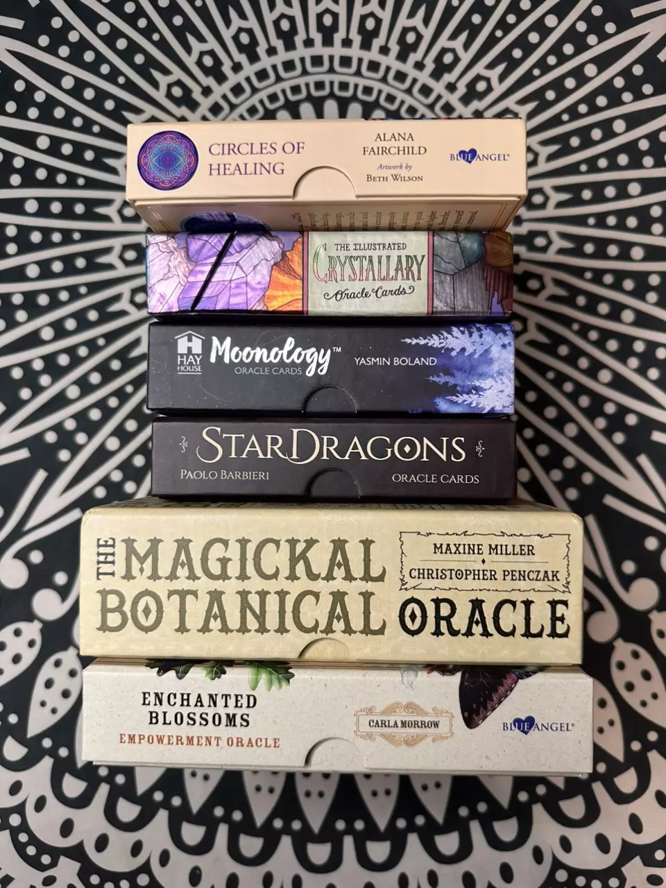 plant/3 Card Oracle Reading-0