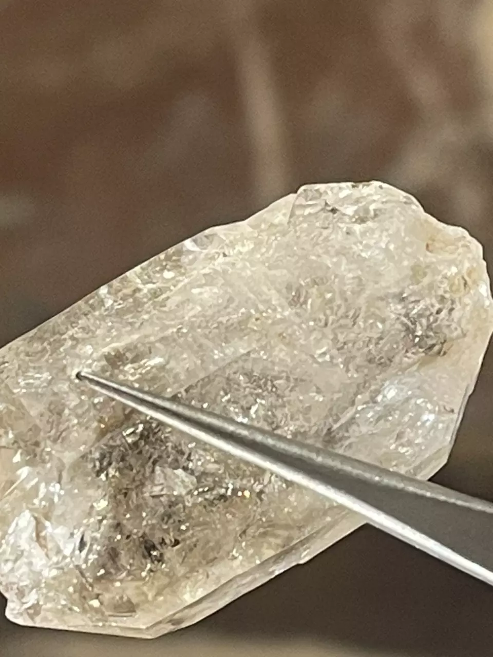 plant/Brandberg Quartz from Erongo Namibia #D2-2