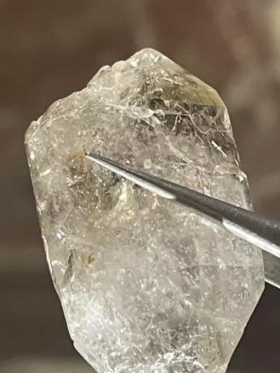 plant/Brandberg Quartz from Erongo Namibia #D2-1-thumbnail