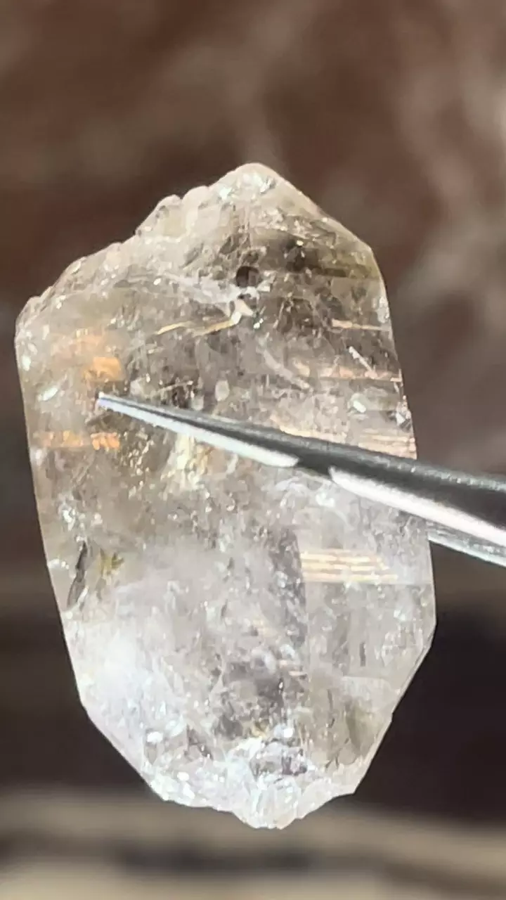 plant/Brandberg Quartz from Erongo Namibia #D2-0