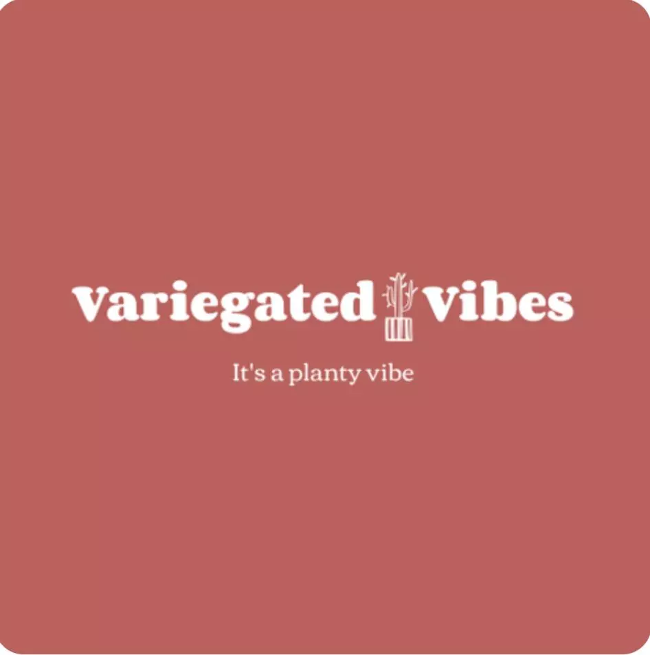 plant/Leave my receipt out of the box 😉-0