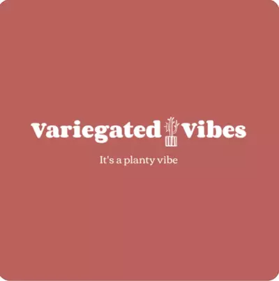 plant/Leave my receipt out of the box 😉-0-thumbnail