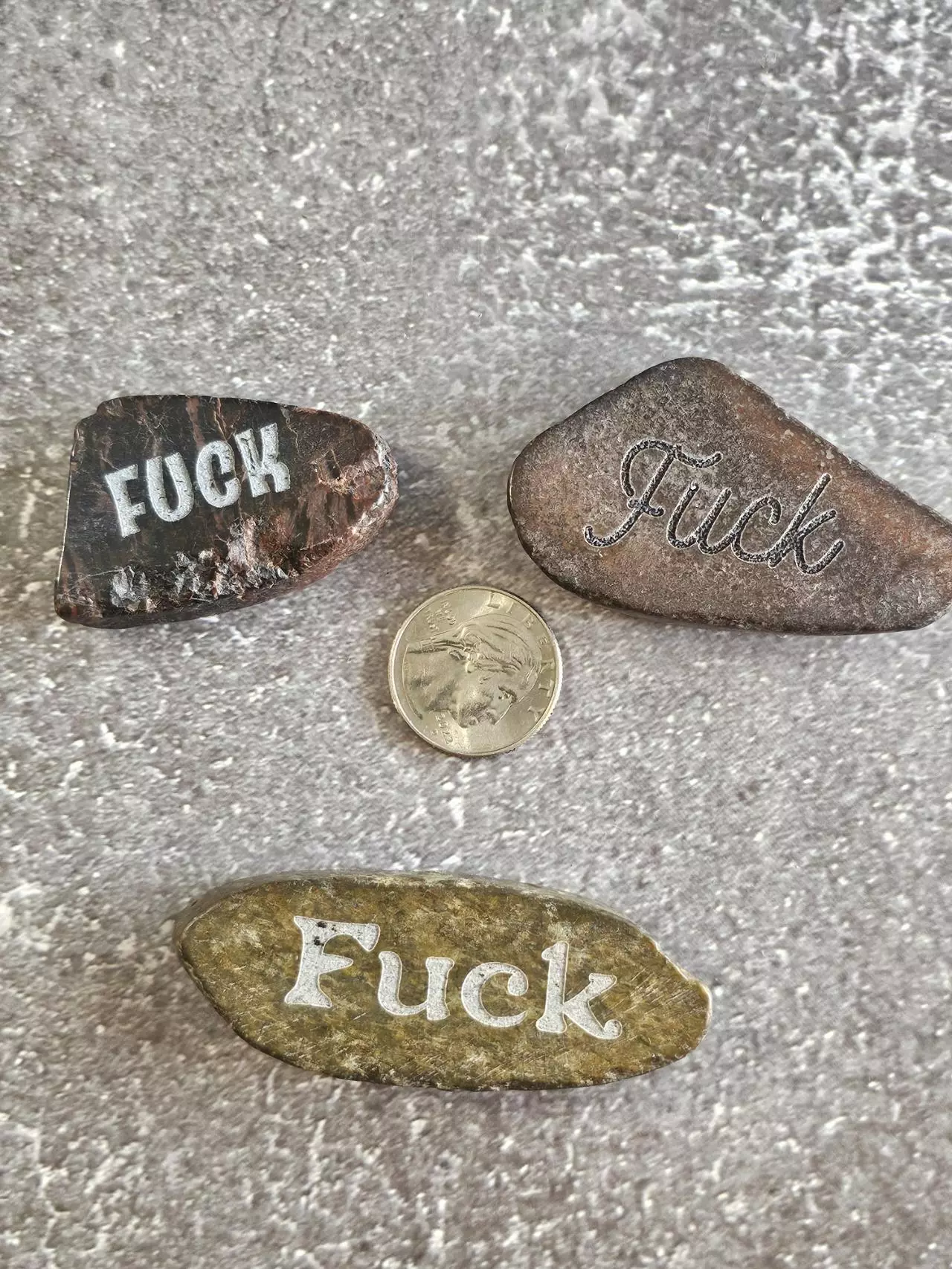 plant/One River Rock Engraved with the word Fuck-0