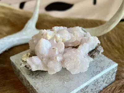 plant/Pink Quartz Specimen (Morocco, 2.5”)-0-thumbnail