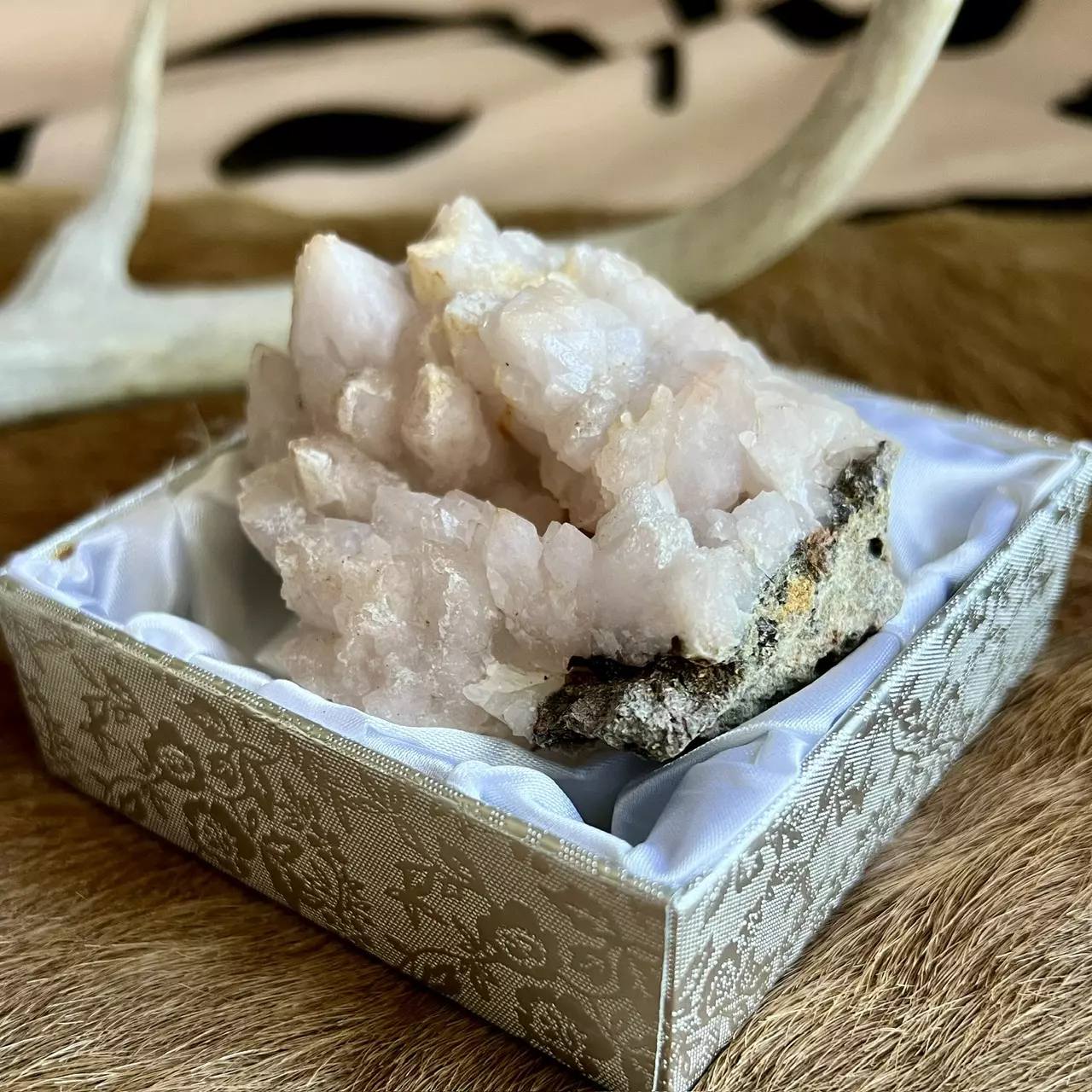 plant/Pink Quartz Specimen (Morocco, 2.5”)-1