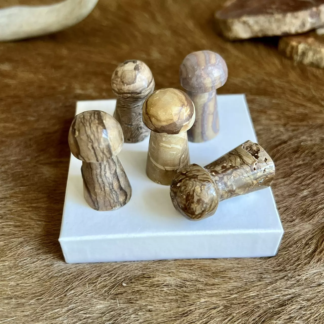 plant/Sand Jasper Mushroom (1.25”)-0