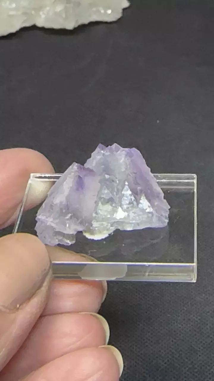 plant/Fluorite thumbnail Blanchard Mine NM-1