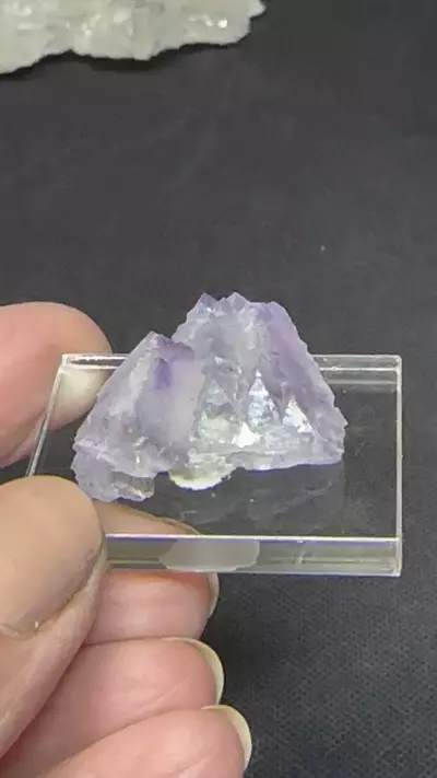 plant/Fluorite thumbnail Blanchard Mine NM-1-thumbnail