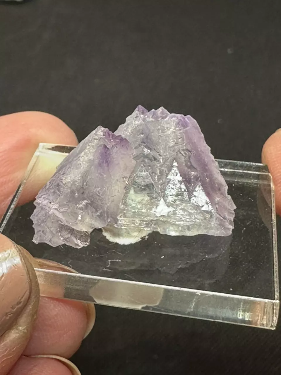 plant/Fluorite thumbnail Blanchard Mine NM-0