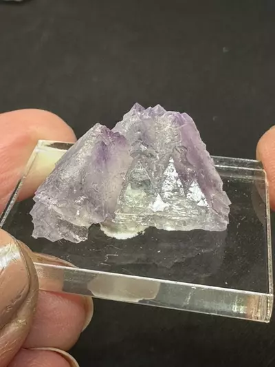 plant/Fluorite thumbnail Blanchard Mine NM-0-thumbnail