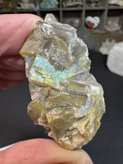 plant/Naturally Iridescent Fluorite-0-thumbnail