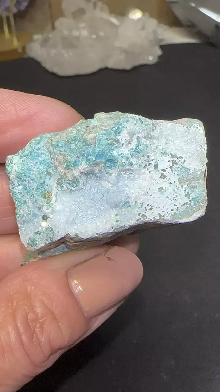 plant/Druzy Chrysocolla with Malachite & Psilomelane Dendrites-1