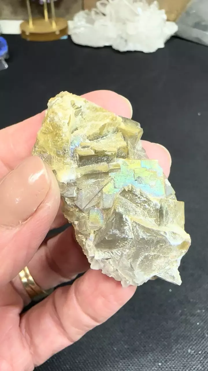 plant/Naturally Iridescent Fluorite-1