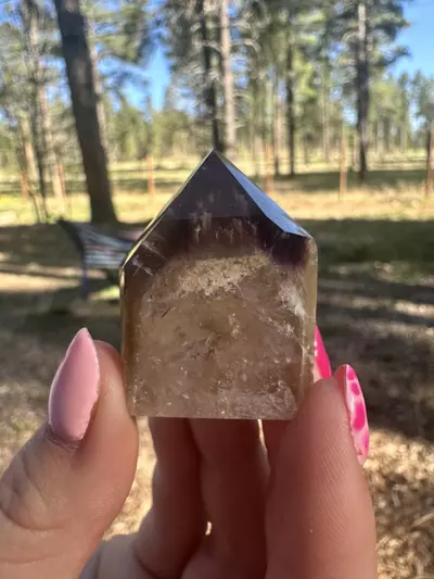 plant/Dreamcoat Amethyst-0-thumbnail