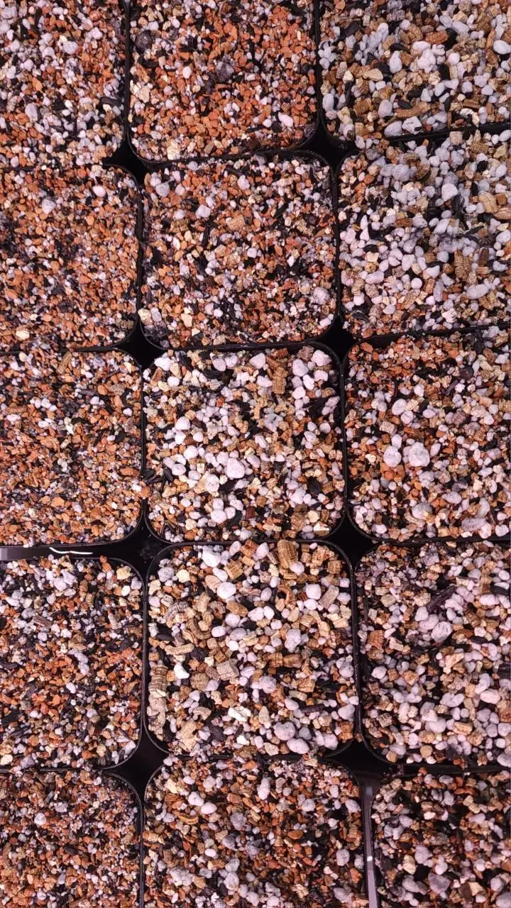 plant/20% off! Dirty Bowtie Semi-Hydro Substrate - 1.5 gallons ($5 extra shipping)-0