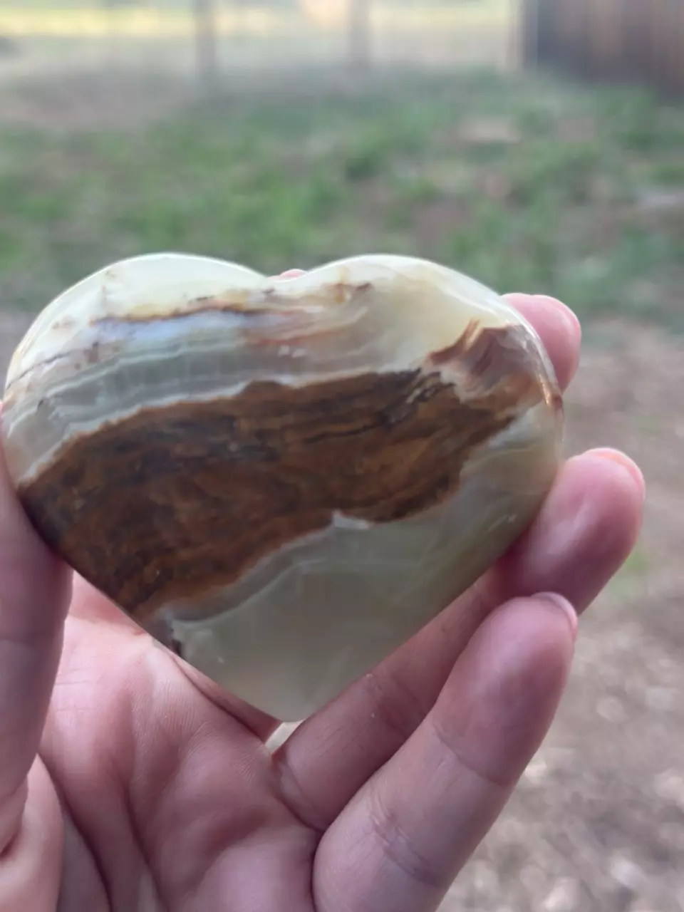 plant/Banded Onyx Heart-0
