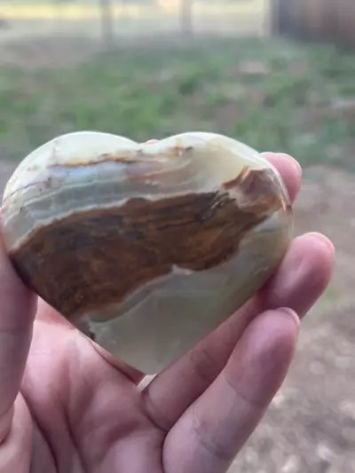 plant/Banded Onyx Heart-0-thumbnail