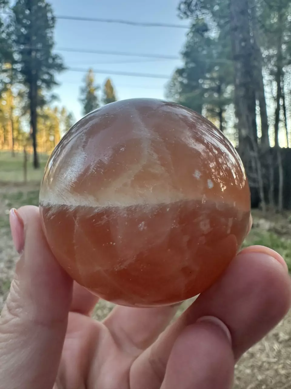 plant/Honey Calcite Sphere-0