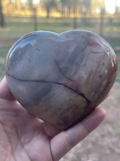 plant/Polychrome Heart-0-thumbnail