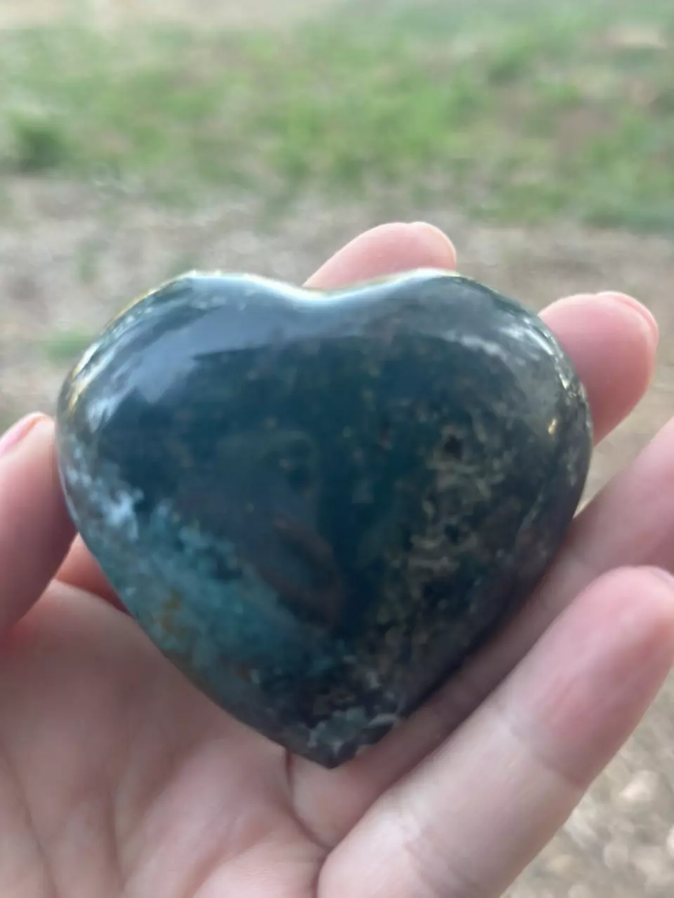 plant/Ocean Jasper Heart-0