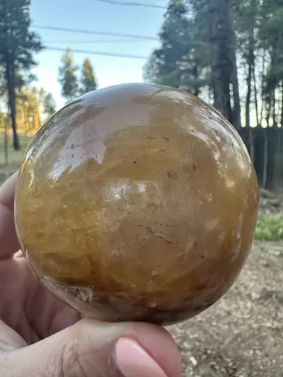 plant/Golden Healer Sphere-0-thumbnail