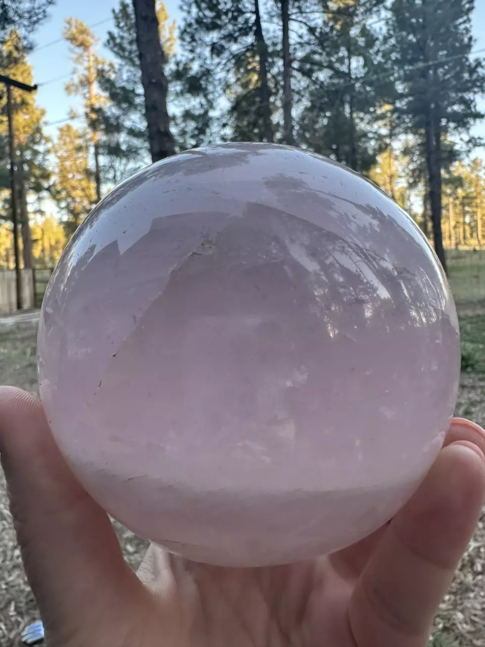 plant/Rose Quartz Sphere-0