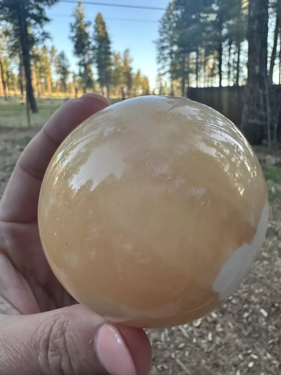 plant/Orange Calcite Sphere-0