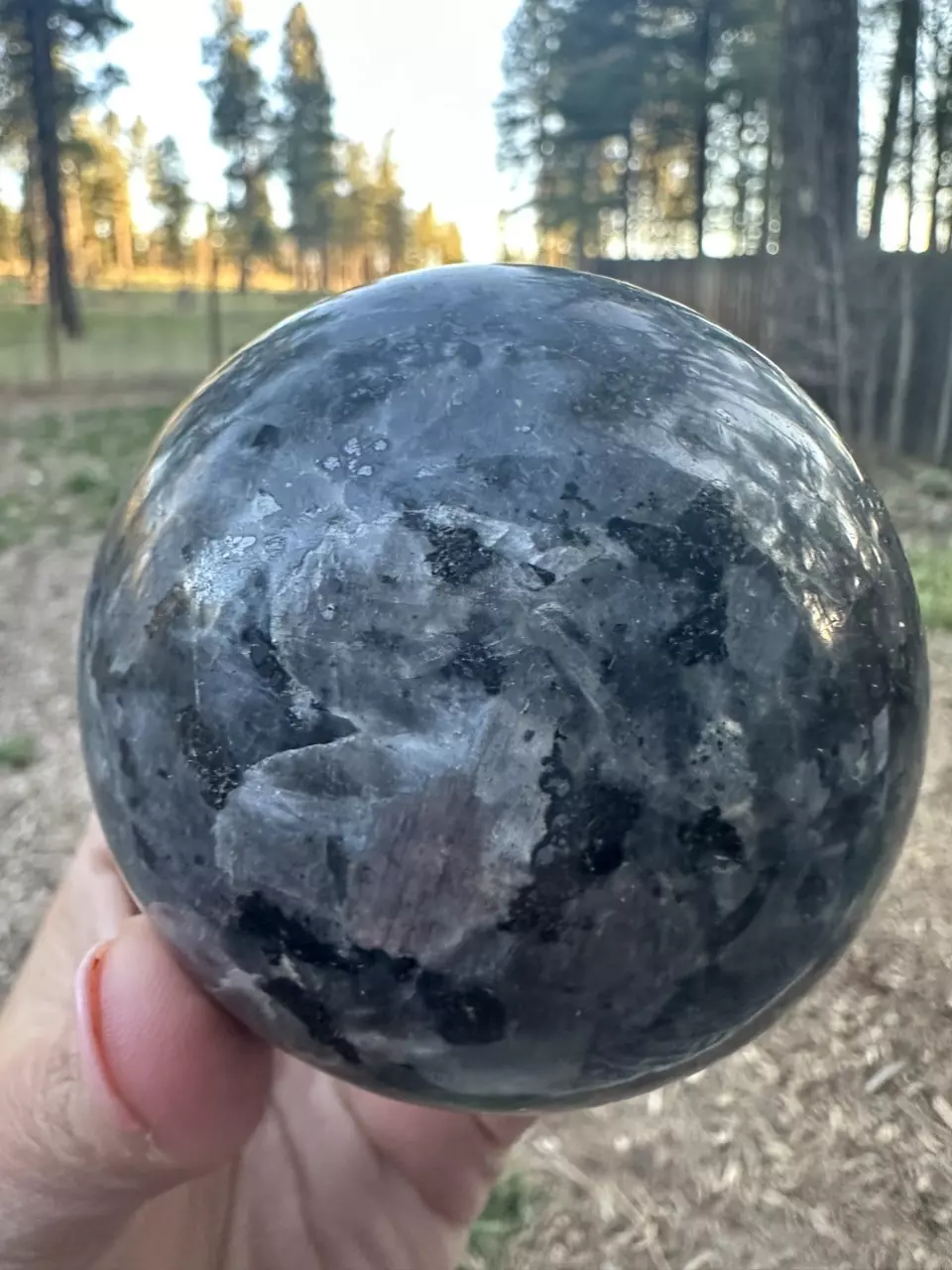 plant/Larvakite Sphere-0