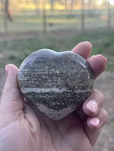 plant/Ocean Jasper Heart-0-thumbnail