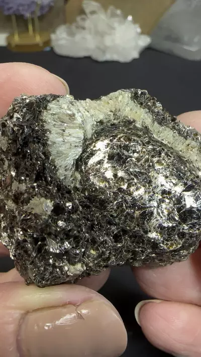 plant/Hermanov Ball A-0-thumbnail