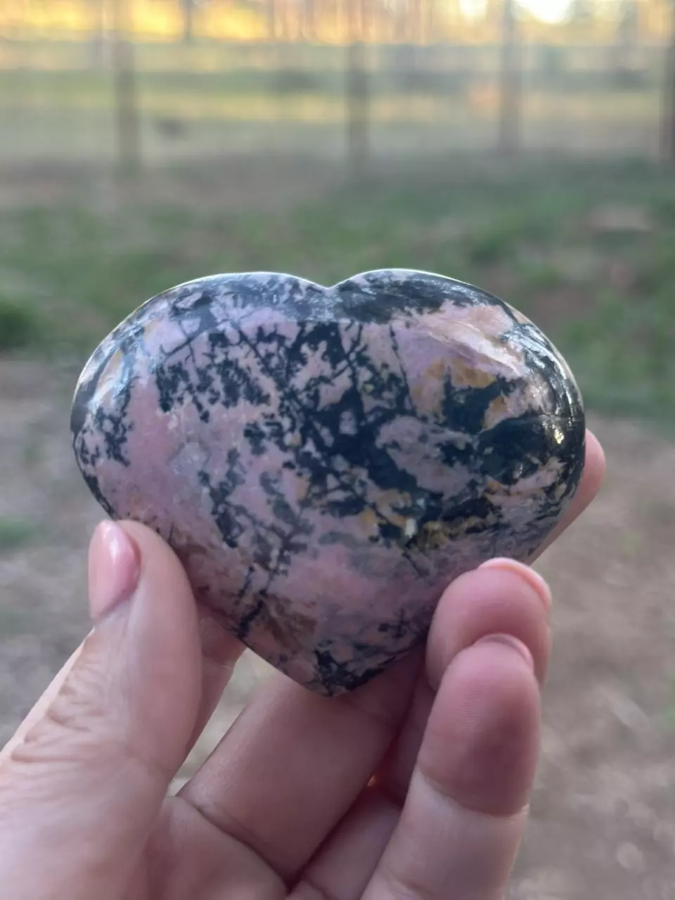 plant/Rhodonite Heart-0