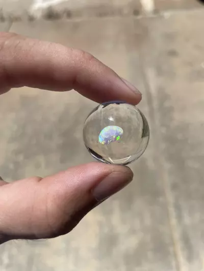 plant/Opal Marble-1-thumbnail