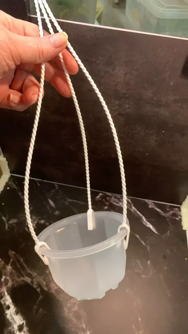 plant/Clear small hanging baskets.-1