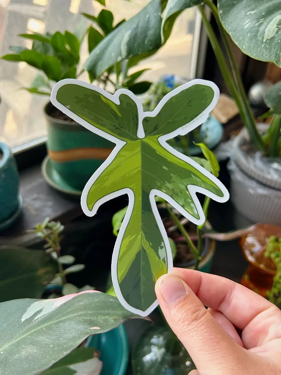 plant/Florida Beauty Transparent Stickers-0