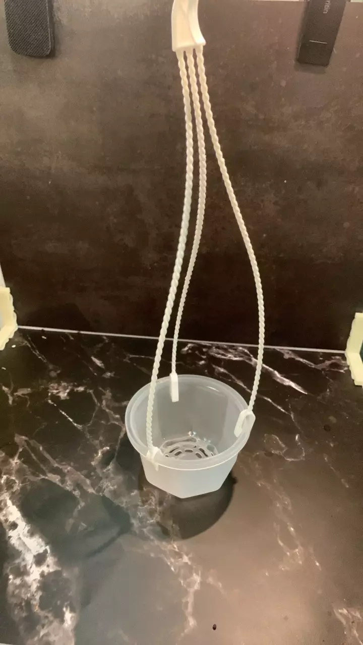 plant/Clear small hanging baskets.-0