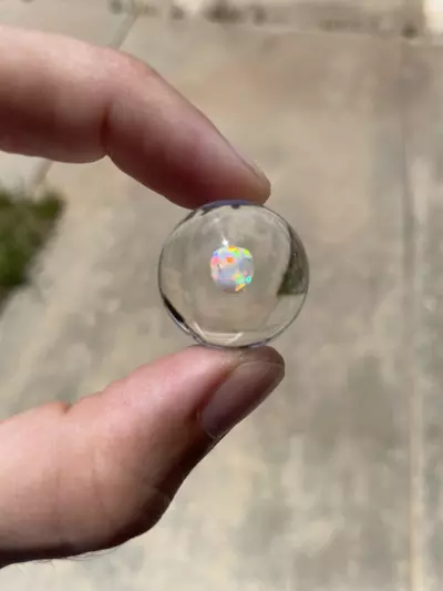 plant/Opal Marble-2-thumbnail