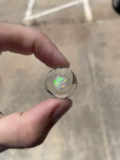 plant/Opal Marble-3-thumbnail