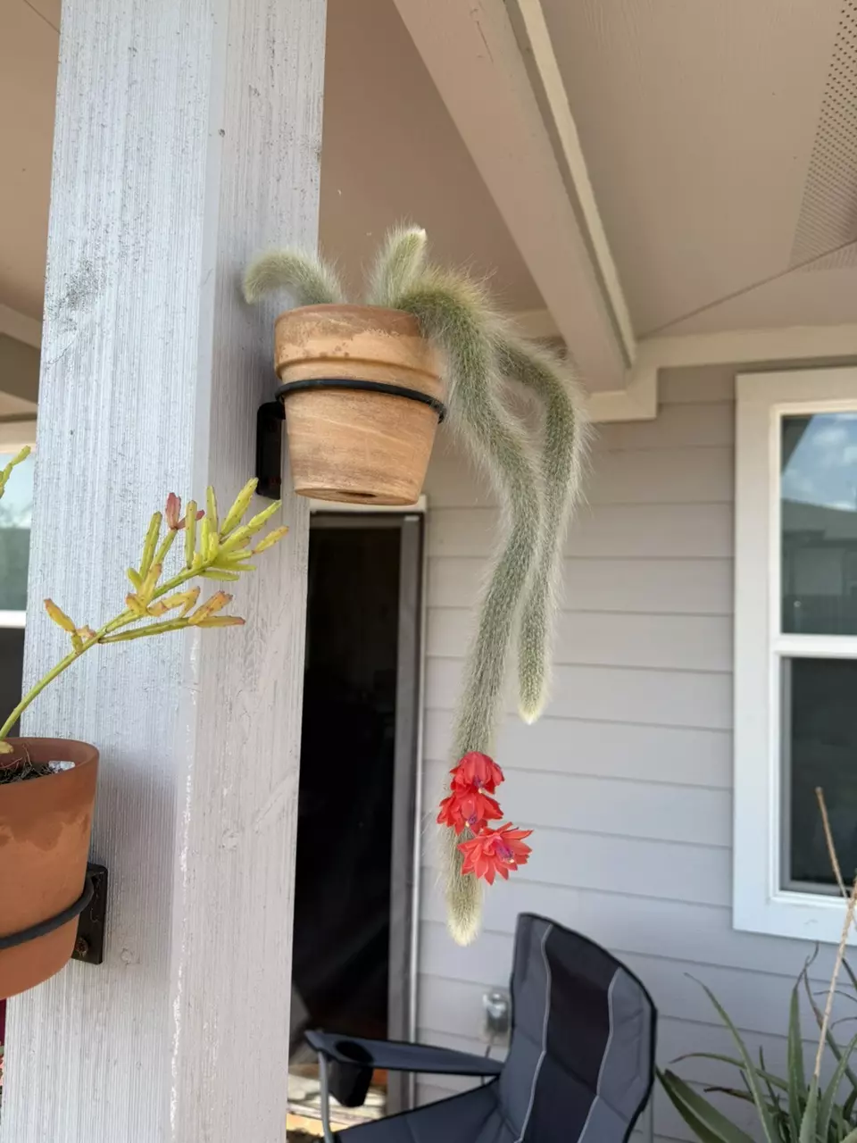 plant/One week bold-0