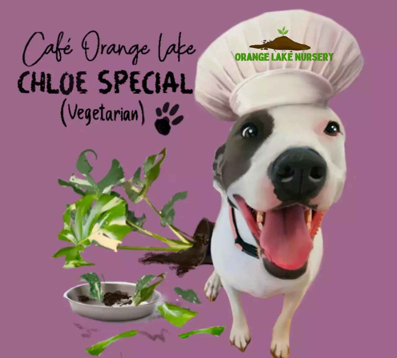 plant/Chef Chloe Sticker-0
