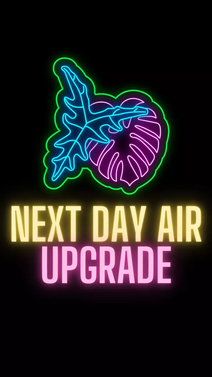 plant/Next Day Air Upgrade-0