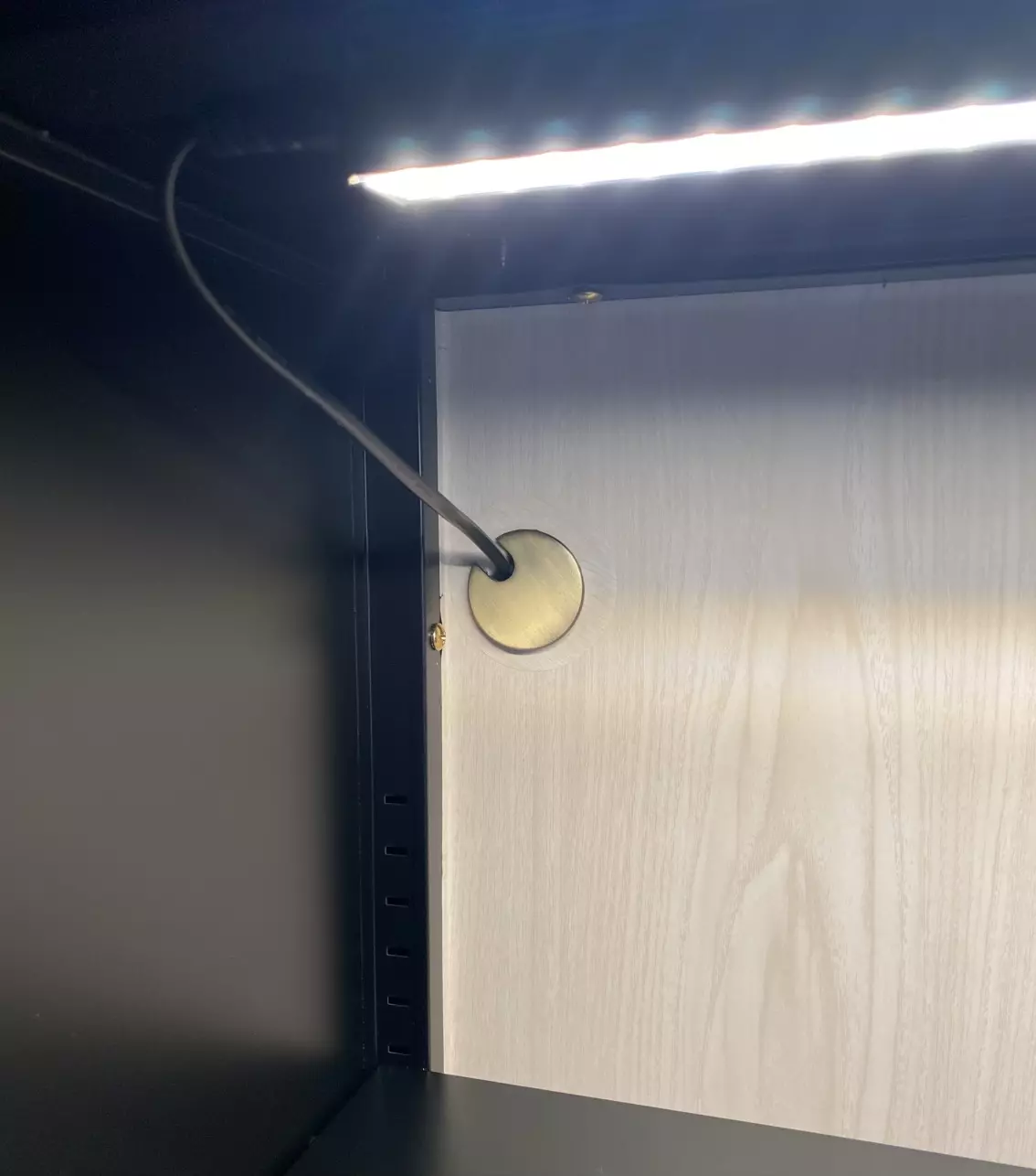 plant/Bronze Grommet-1