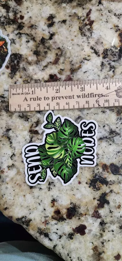 plant/Swiss cheese monstera send nodes sticker-1-thumbnail